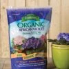 Espoma African Violet Potting Mix, 4 Quart -Backyard Bloomers 8599788 18440 tif