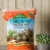 Espoma Cactus Potting Mix, 4 Quart -Backyard Bloomers 8599789 18448 tif