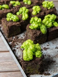 Soil Blocker, 4 Cell 11 Soil Blocker, 4 Cell -Backyard Bloomers 8599790 1057 tif