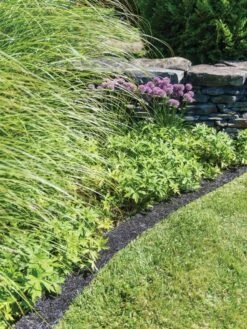 Recycled Rubber Mulch Edging, 12’ X 6” 9 Recycled Rubber Mulch Edging, 12’ X 6” -Backyard Bloomers 8599854 0897 tif