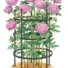 Titan Peony Supports, Large, Set Of 2 -Backyard Bloomers 8599857 0001 art tif