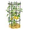 Titan Pepper Eggplant Cages, Set Of 3 1 Titan Pepper Eggplant Cages, Set Of 3 -Backyard Bloomers 8599859 0001 art tif