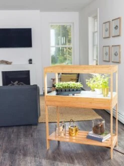 Stand For Low Bamboo Grow Light -Backyard Bloomers 8599950 18175 tif