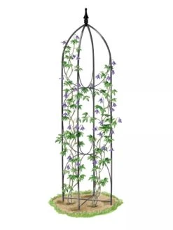 Verona Obelisk -Backyard Bloomers 8600054 0001 art 3 4