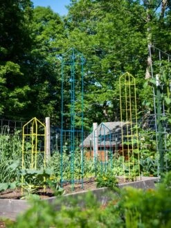 Zenith Folding Garden Supports, Set Of 2 -Backyard Bloomers 8600072 0449 tif