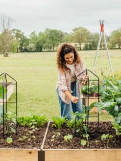 Zenith Folding Garden Supports, Set Of 2 -Backyard Bloomers 8600073 324 tif