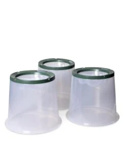 Sunny Forcing Cloches, Set Of 3 -Backyard Bloomers 8600075 24 tif