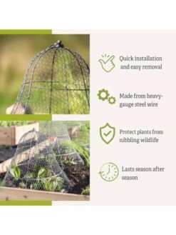 Chicken Wire Cloche With Extension -Backyard Bloomers 8600116 3