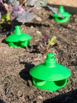 Slug And Snail Traps, Set Of 3 -Backyard Bloomers 8600120 1788