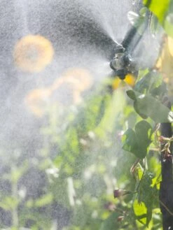 Landscape 4-Way Cooling Mist Kit, 50' -Backyard Bloomers 8600154 0695 tif