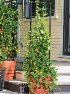 Gardener’s Victory Self-Watering Planter Garden With Vine Trellis -Backyard Bloomers 8600175 0733 tif 1