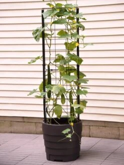 Gardener’s Victory Self-Watering Planter Garden With Vine Trellis -Backyard Bloomers 8600177 9876 tif 1