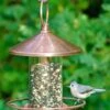 Classic Perch Bird Feeder With Copper Finish -Backyard Bloomers 8600195 01v classic perch bird feeder with copper finish
