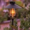Edi-Sol Marine Solar Pendant Or Staked Lantern -Backyard Bloomers 8600215 0724 tif