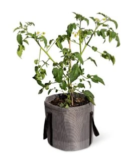 Reinforced Colorful Grow Bags -Backyard Bloomers 8600229 0944 tif