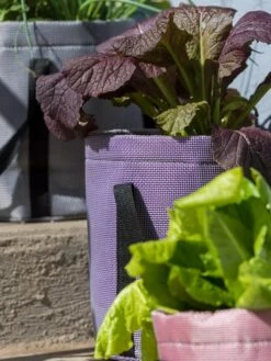 Reinforced Colorful Grow Bags -Backyard Bloomers 8600230 20013 tif