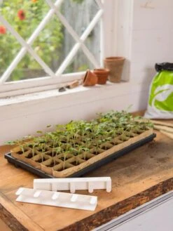 Paper Pots Starter Set -Backyard Bloomers 8600273 0303 tif