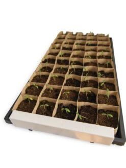 Paper Pots Starter Set -Backyard Bloomers 8600273 18527 tif