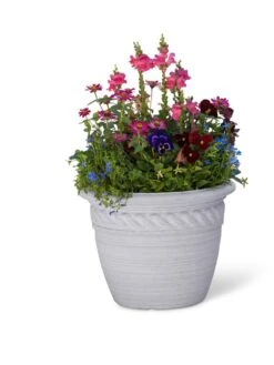 Cortina Self-Watering Planters -Backyard Bloomers 8600316 19838 tif