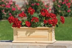 Savannah Window Boxes -Backyard Bloomers 8600461 04V tif