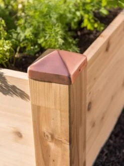 Copper Cap Raised Beds -Backyard Bloomers 8600496 0564 tif