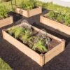 Copper Cap Raised Beds -Backyard Bloomers 8600497 0526 tif