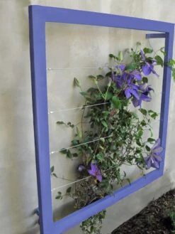 Ina Modern Wall Trellis Jr. 17 Ina Modern Wall Trellis Jr. -Backyard Bloomers 8600512 02V tif