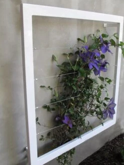 Ina Modern Wall Trellis Jr. 13 Ina Modern Wall Trellis Jr. -Backyard Bloomers 8600512 03V tif