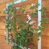 Ina Modern Wall Trellis Jr. -Backyard Bloomers 8600512 07V tif