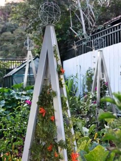 Akoris Garden Tuteur Jr. -Backyard Bloomers 8600517 07V tif