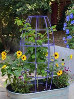 Toki Bubble Trellis -Backyard Bloomers 8600520 02V tif