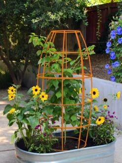 Toki Bubble Trellis -Backyard Bloomers 8600520 03V tif