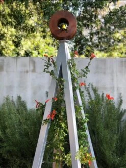 Bird Cafe + Akoris Garden Tuteur Sr. 16 Bird Cafe + Akoris Garden Tuteur Sr. -Backyard Bloomers 8600525 07v 1