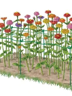 Cut Flower Grid Support, Set Of 2 10 Cut Flower Grid Support, Set Of 2 -Backyard Bloomers 8600620 0002 art tif
