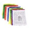 Tibetan Prayer Flags -Backyard Bloomers 8600646 05v tibetan prayer flags