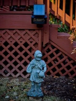 Solar Flood Light -Backyard Bloomers 8607650 04v