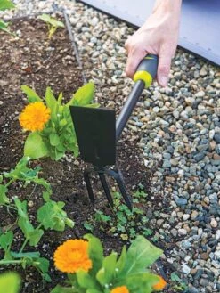 Gardener's 2-in-1 Short Handle Hoe And Cultivator -Backyard Bloomers 8608657 19474 tif