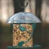 Birds Choice Hanging Seed Cylinder Bird Feeder -Backyard Bloomers 8608763 01v birds choice hanging seed cylinder bird feeder