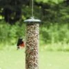 Birds Choice Magnet Mesh Peanut Feeder -Backyard Bloomers 8608775 01v birds choice magnet mesh peanut feeder