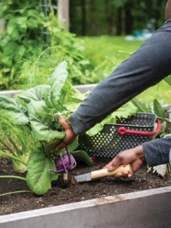 Gardener's Lifetime Hori Hori Knife -Backyard Bloomers 8608888 0422 tif