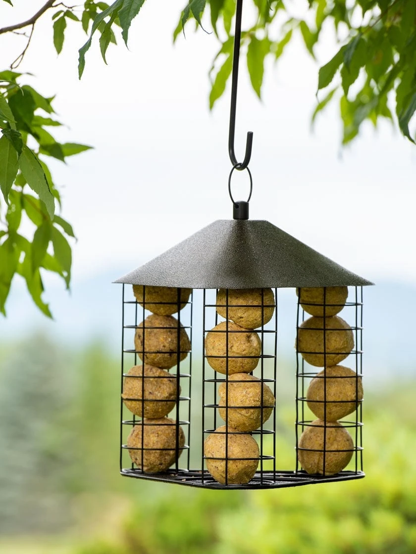 Fly-Through Suet Ball Feeder 3 Fly-Through Suet Ball Feeder