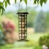 Suet Ball & Feeder Combo Set 1 Suet Ball & Feeder Combo Set -Backyard Bloomers 8608919 0570 suet ball and feeder combo pack