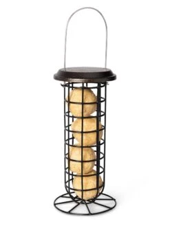 Suet Ball & Feeder Combo Set 9 Suet Ball & Feeder Combo Set -Backyard Bloomers 8608919 4427