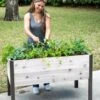 Self-Watering Eco-Stained Elevated Planter Box, 2' X 4' -Backyard Bloomers 8608961 5040 tif