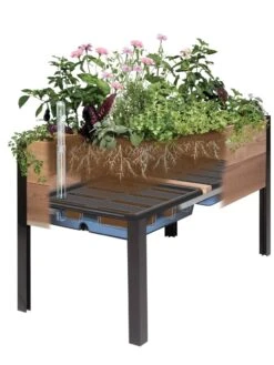 Self-Watering Eco-Stained Elevated Planter Box, 2' X 4' 12 Self-Watering Eco-Stained Elevated Planter Box, 2' X 4' -Backyard Bloomers 8609009 SW insert art 2021 tif