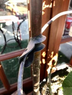 Garden Cane Connects, Set Of 6 8 Garden Cane Connects, Set Of 6 -Backyard Bloomers 8609019 03V tif