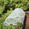 Easy Plastic Garden Tunnel -Backyard Bloomers 8609052 0405 tif