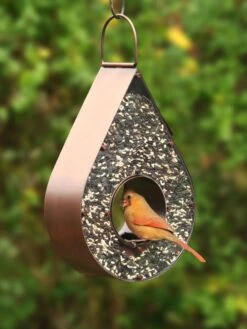 Teardrop Fly-Thru™ Bird Feeder -Backyard Bloomers 8609054 02v