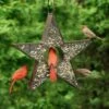Star Fly-Thru™ Bird Feeder -Backyard Bloomers 8609057 04v star fly thru bird feeder good directions