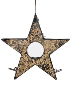 Star Fly-Thru™ Bird Feeder -Backyard Bloomers 8609057 06v